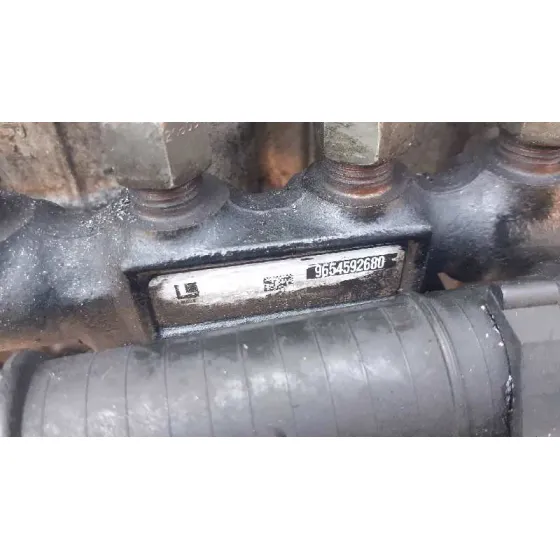 Rampa Inyectora para Peugeot 307 Break / Sw (S1)