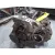 Caja Cambios para Volkswagen Touran (1T1)
