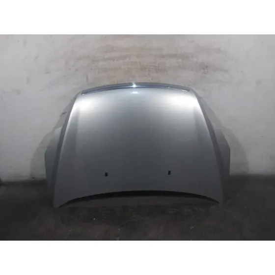 Capot para Ford Focus Lim. (Cb4)