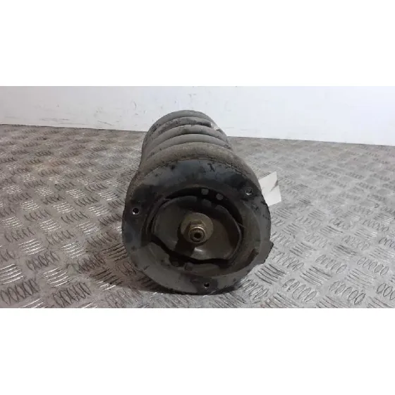Amortiguador Delantero Derecho para Peugeot 607 (S1)