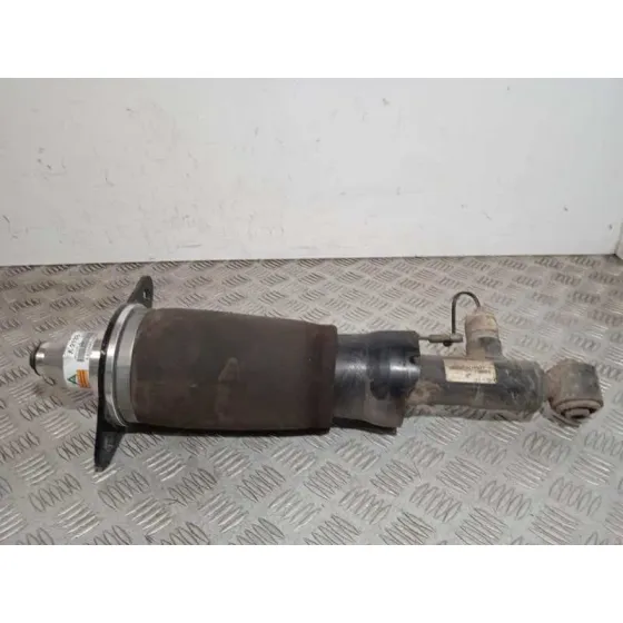 Amortiguador Trasero Izquierdo para Audi Allroad Quattro (4B5)