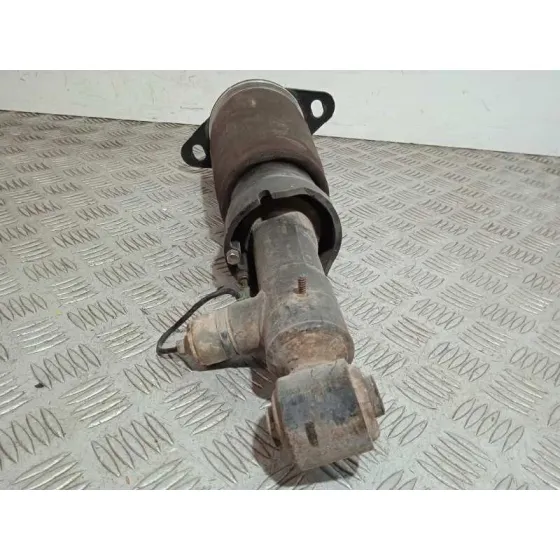 Amortiguador Trasero Izquierdo para Audi Allroad Quattro (4B5)