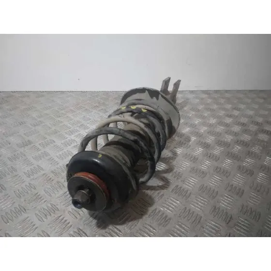 Amortiguador Delantero Izquierdo para Citroën Ds5