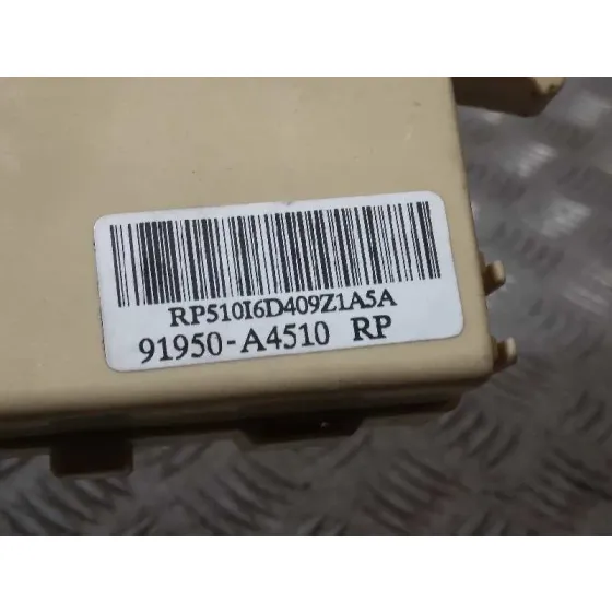 Caja Reles / Fusibles para Kia Carens ( )