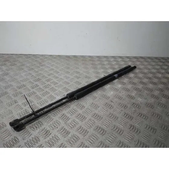 Amortiguadores Maletero / Porton para Ford Kuga (Cbs)