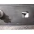 Barras Techo para Renault Scenic Iii