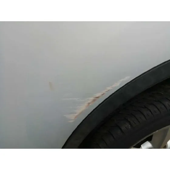 Puerta Trasera Izquierda para Nissan Qashqai (J10)