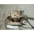 Pinza Freno Delantera Izquierda para Bmw X3 (E83)