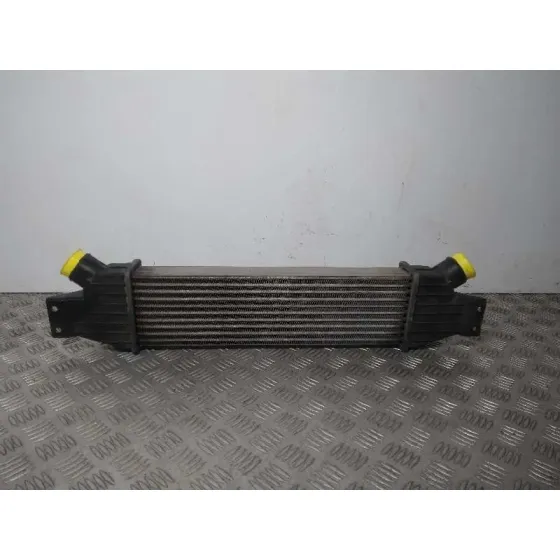 Intercooler para Ssangyong Rodius