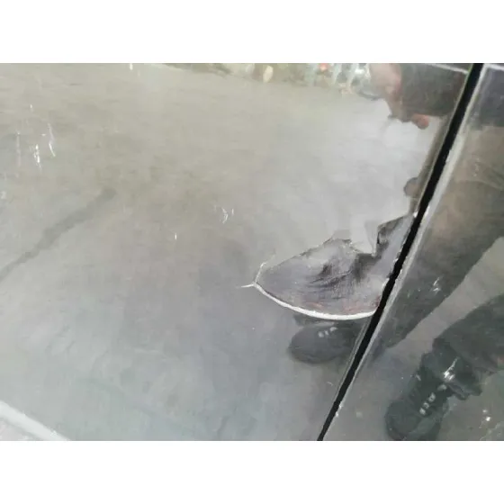 Puerta Trasera Derecha para Mazda Cx-7 (Er)