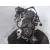 Motor Completo para Citroën Xsara Picasso