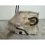 Cerradura Puerta Delantera Derecha para Suzuki Sx4 Rw (Ey)