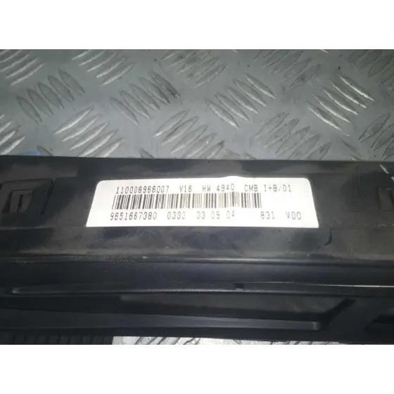 Cuadro Instrumentos para Citroën Xsara Picasso