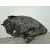 Faro Izquierdo para Renault Kangoo (F/Kc0)
