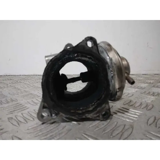 Valvula Egr para Volkswagen Passat Berlina (3C2)