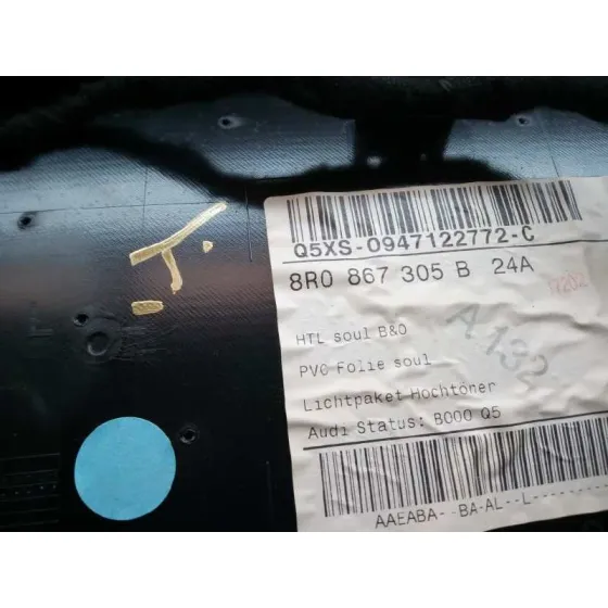 Guarnecido Puerta Trasera Izquierda para Audi Q5 (8R)