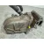 Valvula Egr para Opel Corsa D