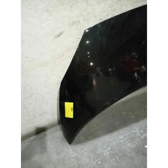 Capot para Renault Scenic Ii