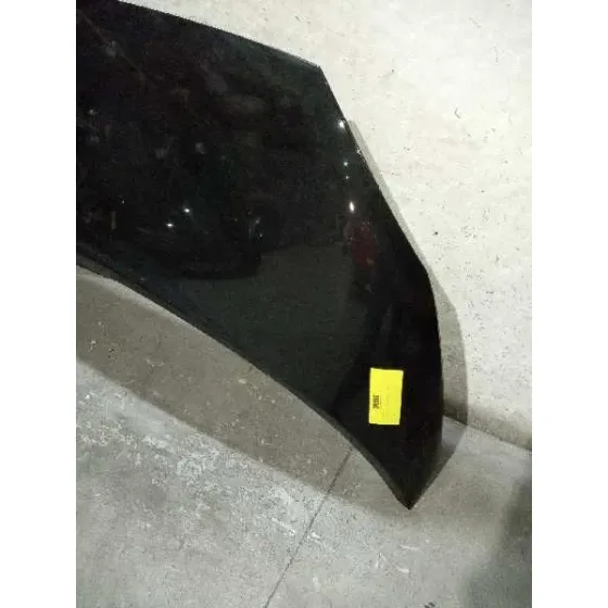Capot para Renault Scenic Ii