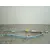 Airbag Cortina Delantero Izquierdo para Seat Leon (5F1)