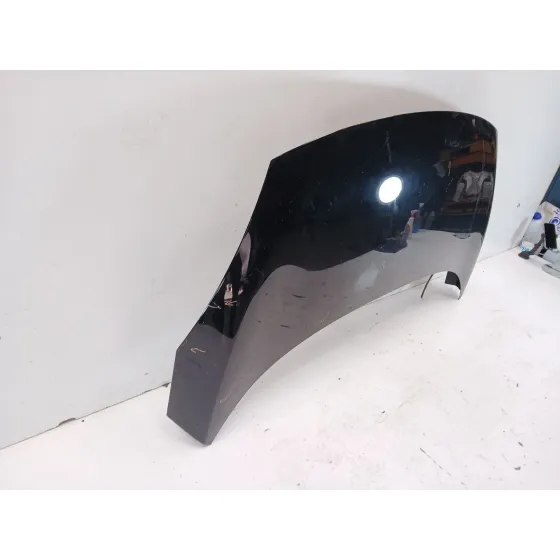 Capot para Renault Scenic Iii