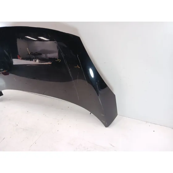 Capot para Renault Scenic Iii