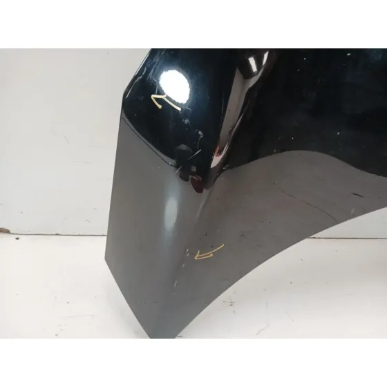 Capot para Renault Scenic Iii