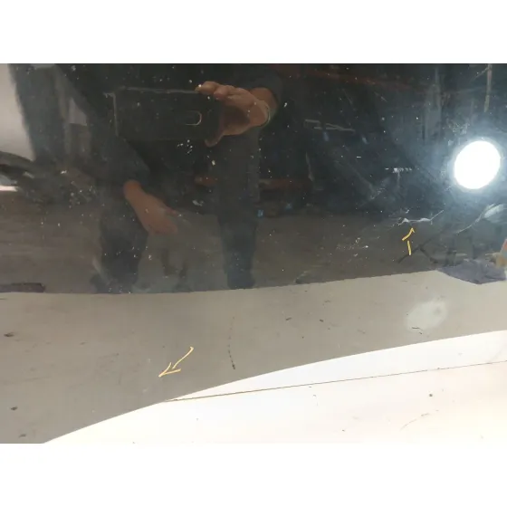 Capot para Renault Scenic Iii