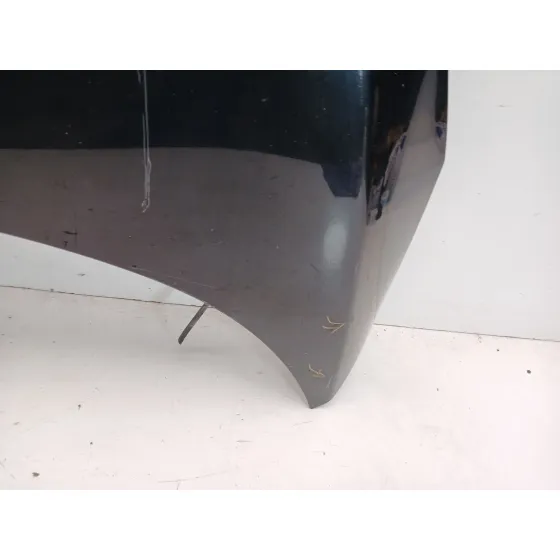 Capot para Renault Scenic Iii