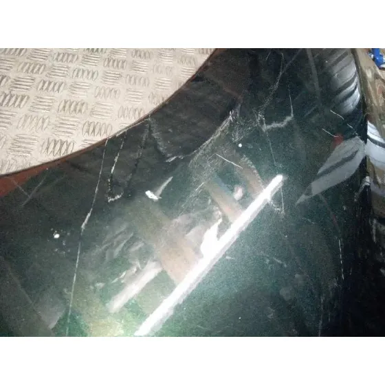 Aleta Delantera Izquierda para Fiat 500 L (330)