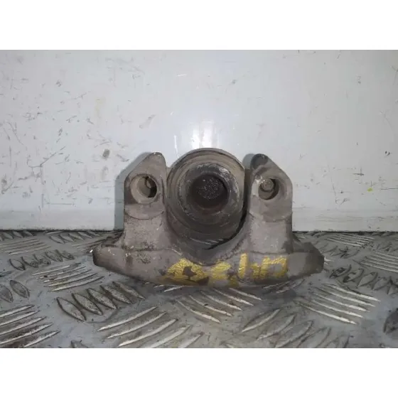 Pinza Freno Trasera Izquierda para Bmw X5 (E53)