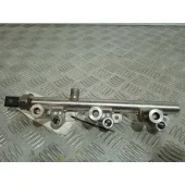 Rampa Inyectora para Citroën C3 Picasso