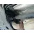 Transmision Central para Mazda Cx-7 (Er)