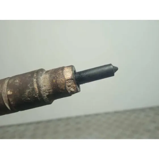 Inyector para Renault Scenic (Ja..)