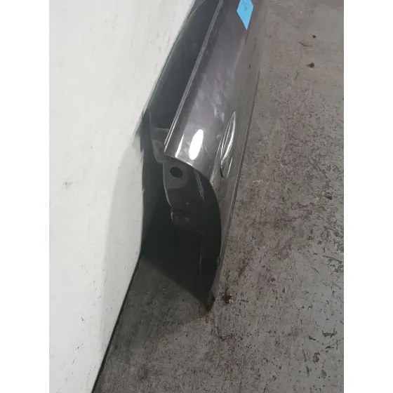 Puerta Delantera Derecha para Audi A3 (8P)
