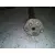 Transmision Central para Hyundai Tucson (Jm)