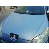 Capot para Peugeot 407