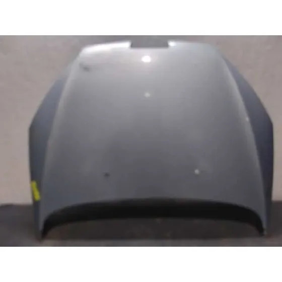 Capot para Peugeot 407