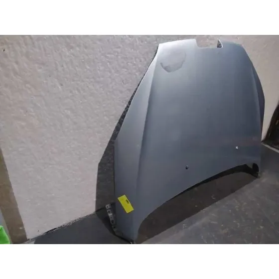 Capot para Peugeot 407