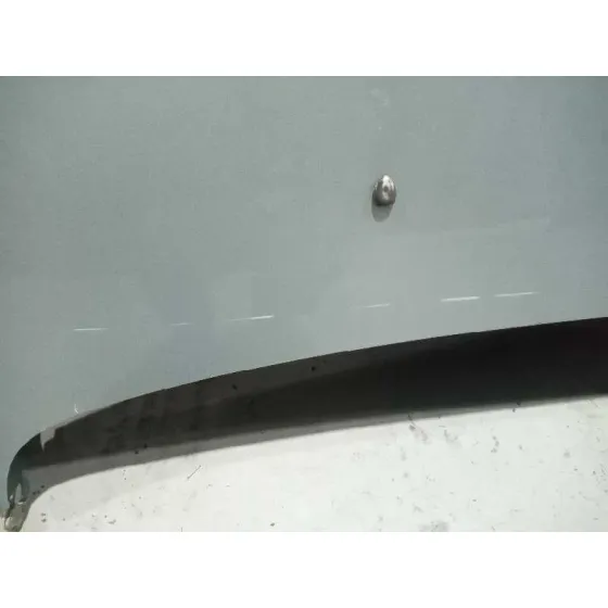 Capot para Peugeot 407