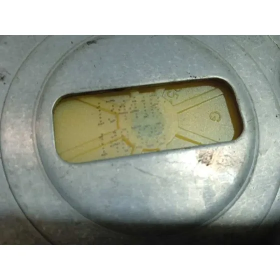 Elevalunas Delantero Izquierdo para Renault Kangoo