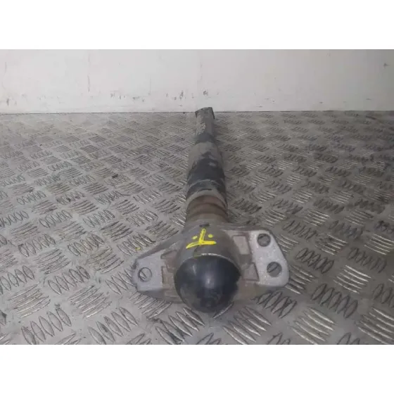 Amortiguador Trasero Izquierdo para Volkswagen Passat Lim. (362)
