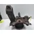 Mangueta Delantera Derecha para Fiat Ducato Furgon 30