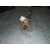 Transmision Central para Infiniti Q50