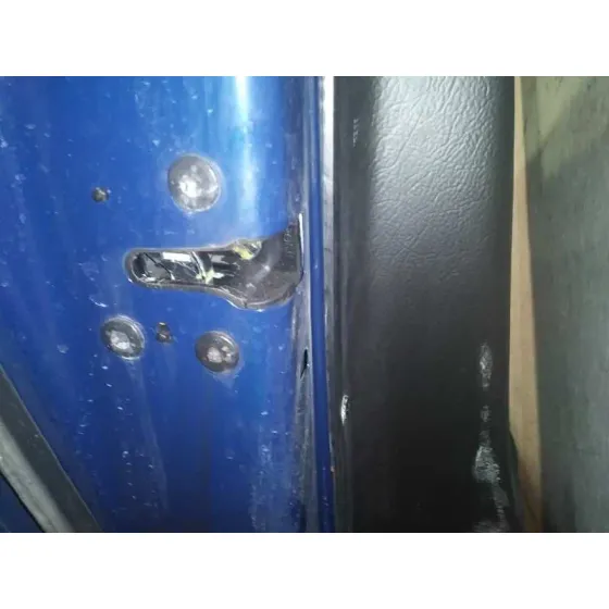 Puerta Trasera Izquierda para Citroën C4 Picasso