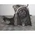Bomba Inyeccion para Fiat Bravo (198)