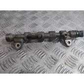 Rampa Inyectora para Fiat Bravo (198)