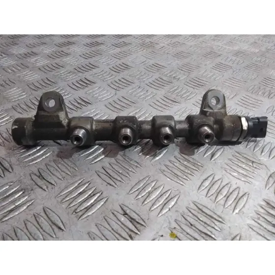 Rampa Inyectora para Fiat Bravo (198)