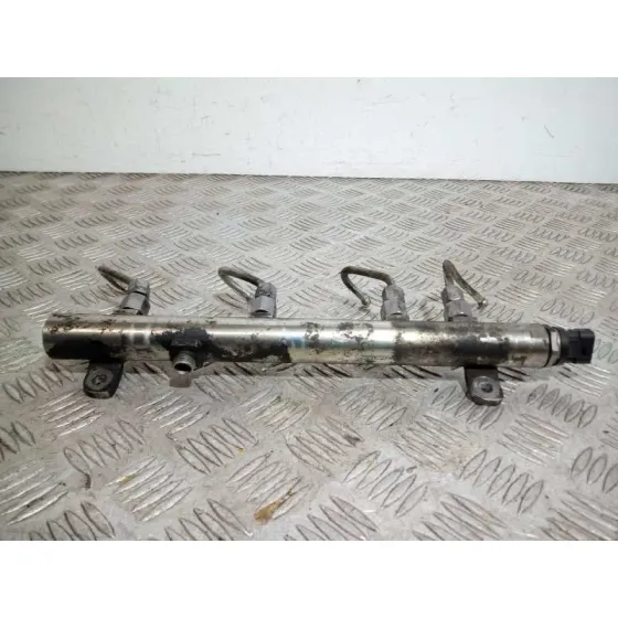 Rampa Inyectora para Fiat Ducato Furgon 30