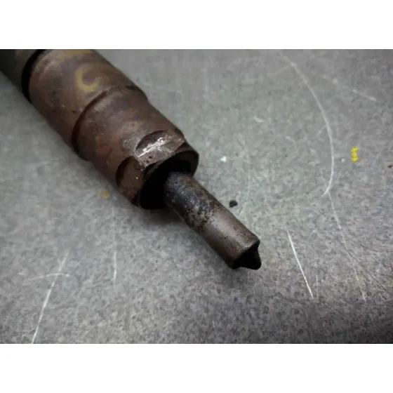 Inyector para Renault Scenic (Ja..)